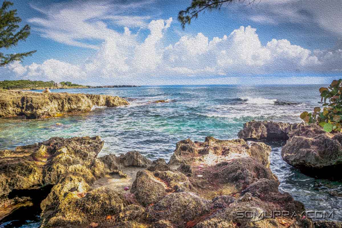 Scenes-Strawberry-Fields